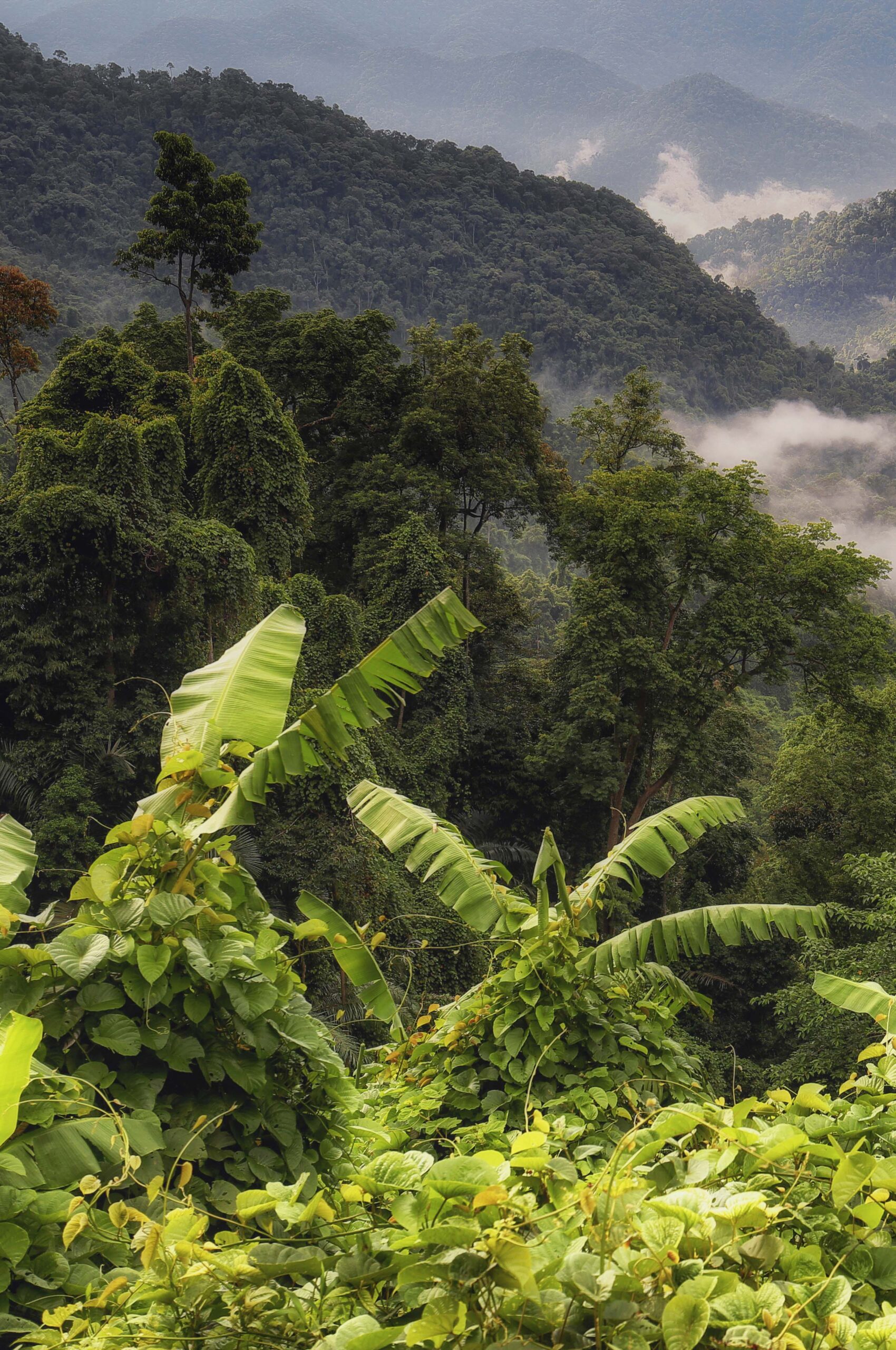 wwf_viet_nam_thanh_the_vinh_1